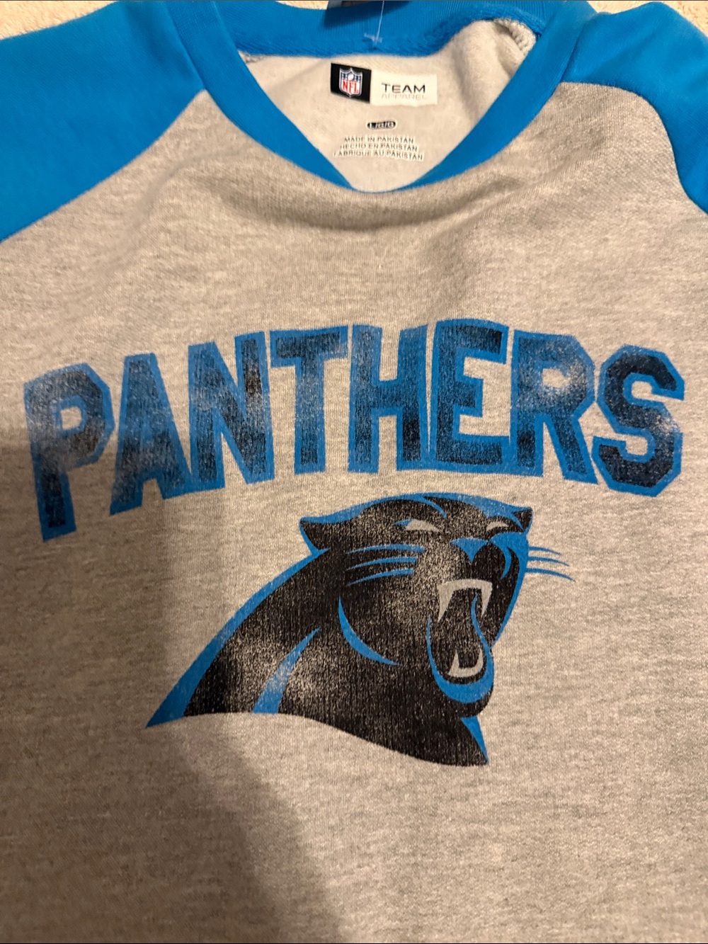 Panthers Raglan Crewneck Sweatshirt - Gray with Blue Sleeves - Picture 3 of 5